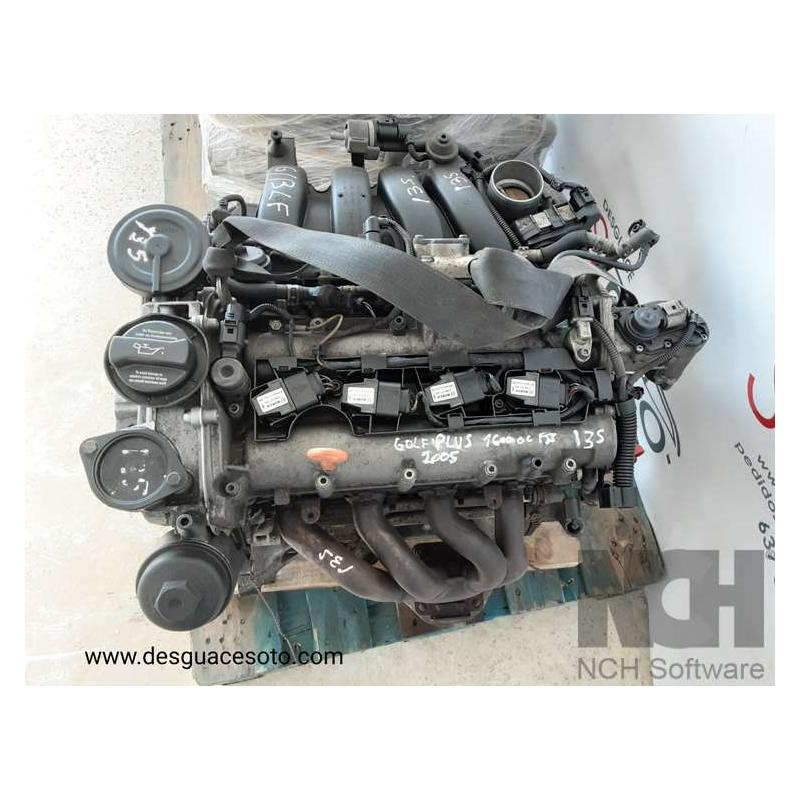 Motor Volkswagen Golf Plus año 2005
